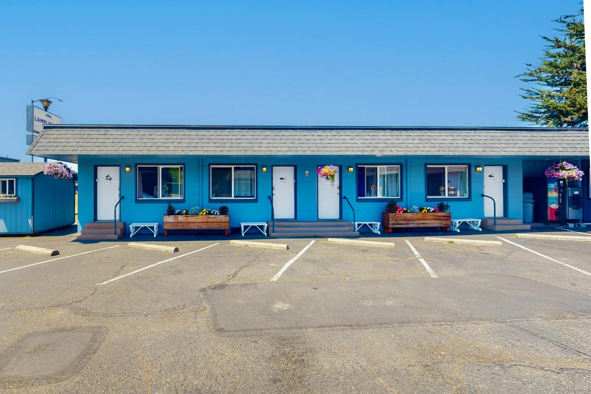 Lamplighter Inn - Tropical Fish Cove And Octopus Encounter Bandon Exterior photo